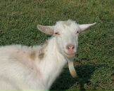 Фотография Ососовой Танюши