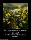 Денис Чириков фотография #12 (источник - https://vk.com/id9476982)