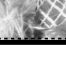 Юля Пічкар фотография #11 (источник - https://vk.com/id143598490)