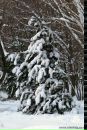 Олег Скуйбіда фотография #46 (источник - https://vk.com/id41536667)