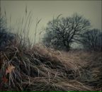 Олексій Гаркавий фотография #44 (источник - https://vk.com/id28865545)