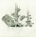 Фотография Афанасьева Макса