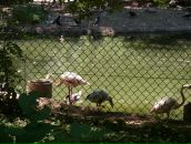 Віка Богатюк фотография #29 (источник - https://vk.com/id77462187)