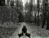 Анастасия Ершова фотография #35 (источник - https://vk.com/id85769143)