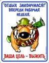 Masha =))))) фотография #19 (источник - https://vk.com/id82236899)