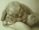 Фотография Марченко Анастасии