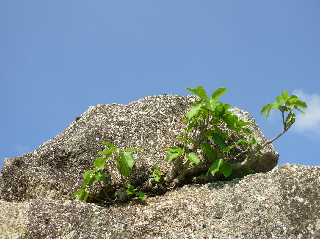 Валерий Иванов фотография #26