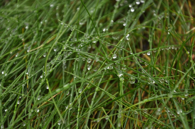 Harmonious Infinity фотография #40