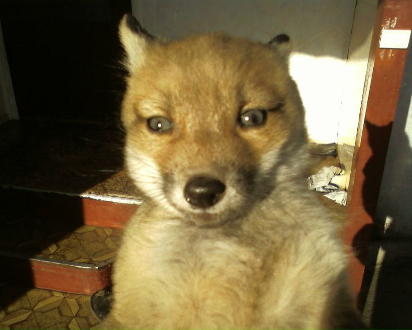 Алекс Сухарев фотография #40