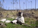 Виталий Чалый фотография #18 (источник - https://vk.com/id61231810)