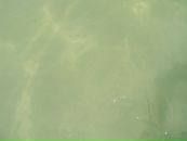 Ігор Любченко фотография #34 (источник - https://vk.com/id7759541)