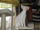 Иришка Венцова фотография #21 (источник - https://vk.com/id4664078)