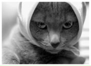 Фотография Львовой Виктории