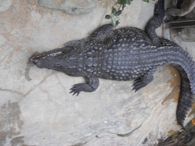 Тарас Стадник фотография #37