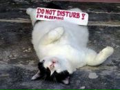 Фотография Белякова Виталия