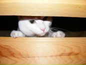 Фотография Мартин Евгении