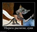 Фотография Емельянова Дмитрии