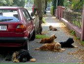 Фотография Gablia Inal