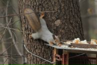 Фотография Соломатиной Ольги