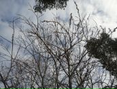 Фотография Рожновой Ирины