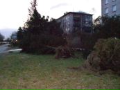 Фотография Алимова Владимира