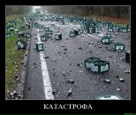 Фотография Старостенко Ромы