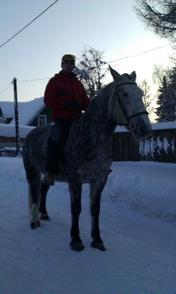 №3, Алексей Мезенцев, Санкт-Петербург №3, Алексей Мезенцев, Санкт-Петербург