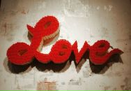 Фотография Суренщиковой Эльвиры