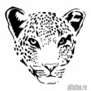 Сергій Гуржій фотография #24 (источник - https://vk.com/id48728005)