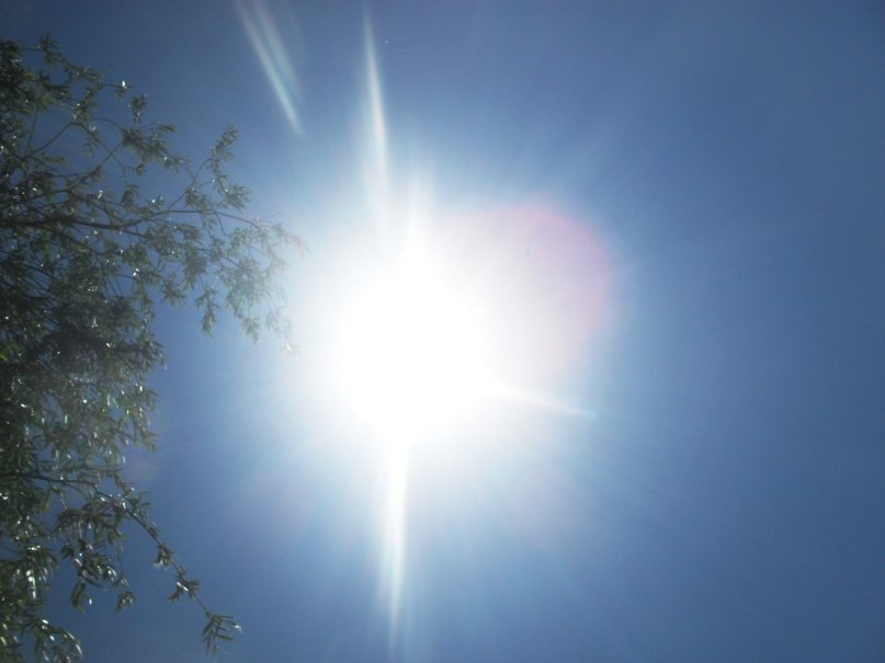 Григорий Григорьев фотография #6