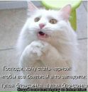 Фотография Корягиной Елены