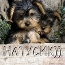 Фотография Зыковой Натальи