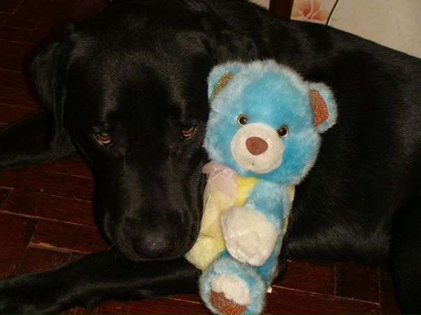 №2, Ирина Белова, Санкт-Петербург, Россия №2, Ирина Белова, Санкт-Петербург, Россия