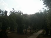 Василина Петрів фотография #49 (источник - https://vk.com/id11510465)