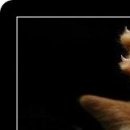 Марія Ткачук фотография #36 (источник - https://vk.com/id62966182)