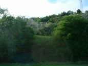 Назар Цибрівський фотография #38 (источник - https://vk.com/id10038701)