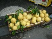 Фотография Каряевой Елены