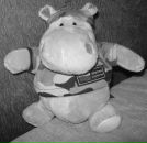 Фотография Кириллова Антонина