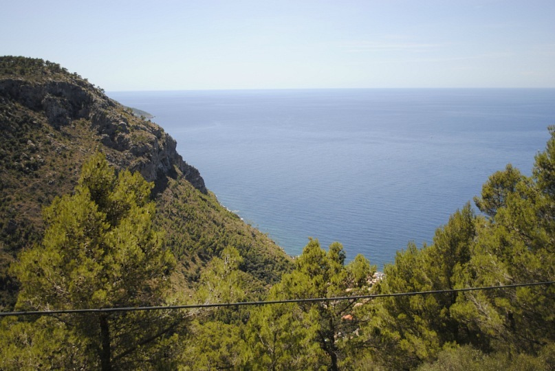 Дмитрий Стефиенко фотография #25