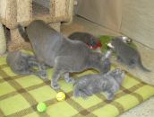 Фотография Галкина Евгения