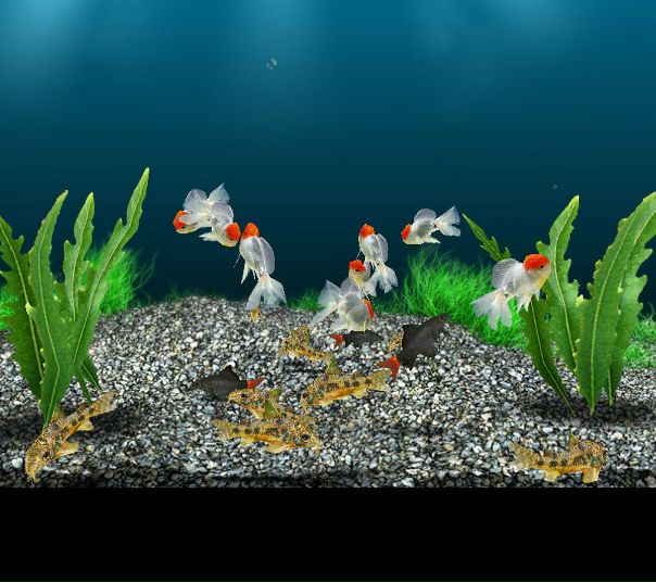 Рустам Кушаев фото №2