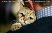 Фотография Buzak Anastasia