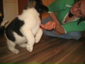 Фотография Зашихиной Екатерины
