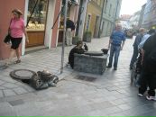Любовь Ехаускина\Бородкина фотография #1
