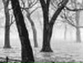 Ігор Мисютін фотография #33 (источник - https://vk.com/id135382200)