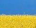 Марія Мороз фотография #39 (источник - https://vk.com/id32525733)