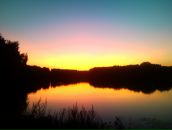 Фотография Веда Велерады Тани