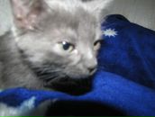 Роман Киреев фотография #46 (источник - https://vk.com/id2910844)