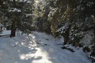 Сергей Левковский фотография #37 (источник - https://vk.com/id13798197)