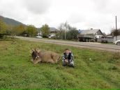 Дмитрий Благодаров фотография #8 (источник - https://vk.com/id1832287)